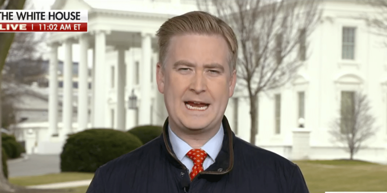 Fox News senior White House correspondent warns DOGE wants to ‘reboot the whole system’